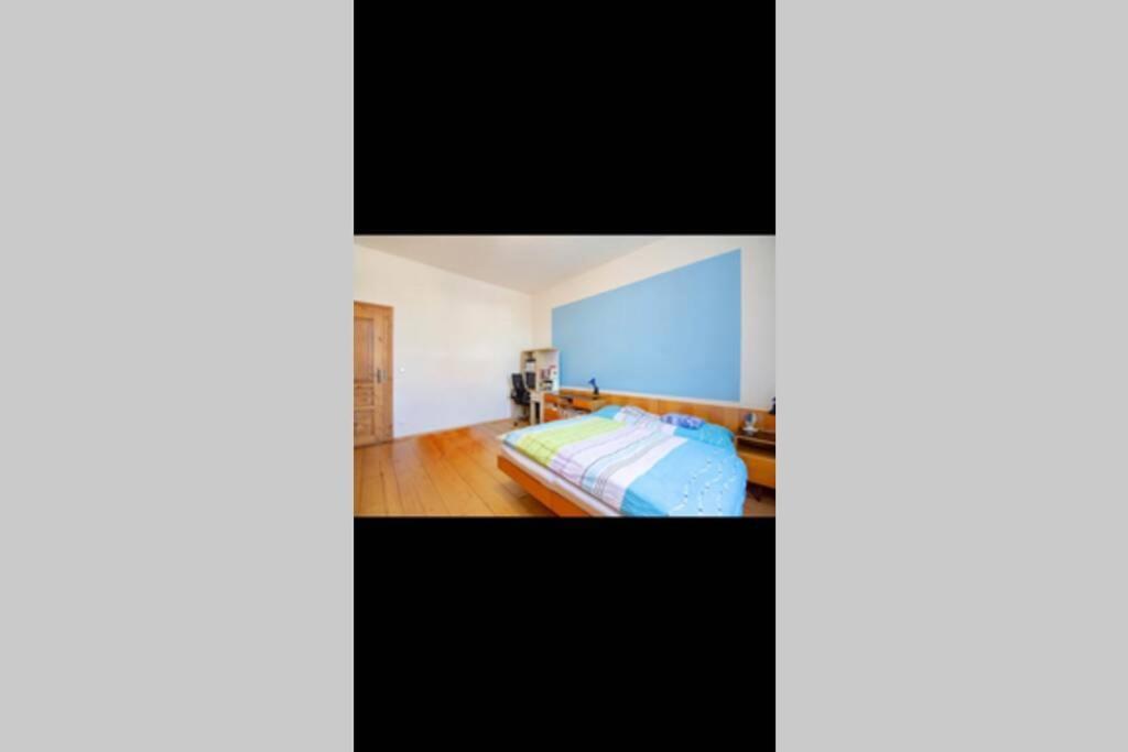 Zamecky Apartman V Horni Plane Horní Planá Dış mekan fotoğraf
